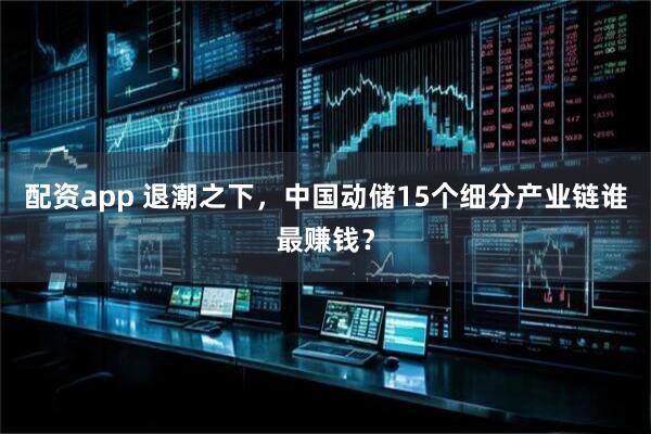 配资app 退潮之下，中国动储15个细分产业链谁最赚钱？