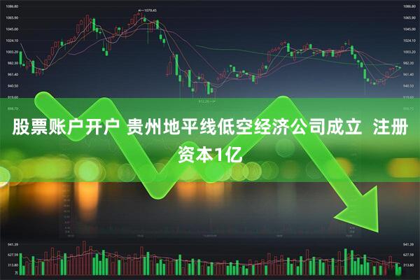 股票账户开户 贵州地平线低空经济公司成立  注册资本1亿
