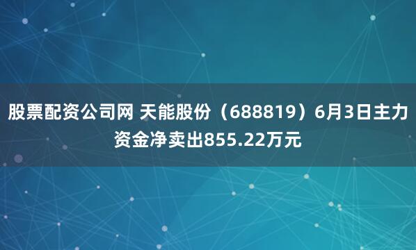 股票配资公司网 天能股份（688819）6月3日主力资金净卖出855.22万元