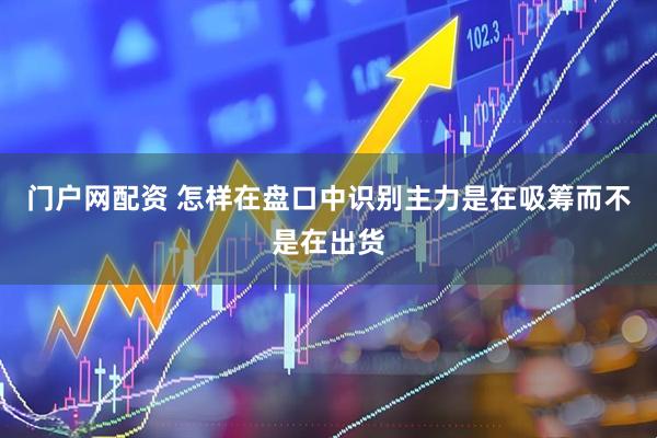 门户网配资 怎样在盘口中识别主力是在吸筹而不是在出货