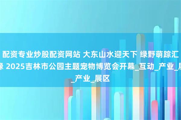 配资专业炒股配资网站 大东山水迎天下 绿野萌踪汇奇缘 2025吉林市公园主题宠物博览会开幕_互动_产业_展区