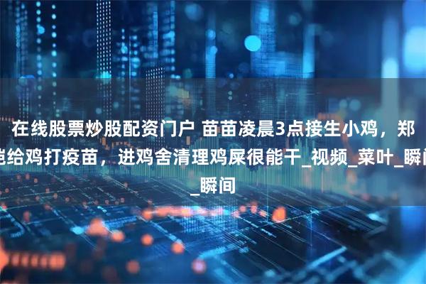 在线股票炒股配资门户 苗苗凌晨3点接生小鸡，郑恺给鸡打疫苗，进鸡舍清理鸡屎很能干_视频_菜叶_瞬间