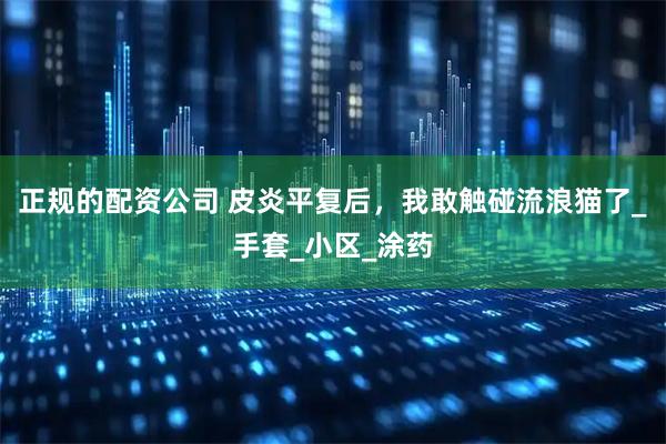 正规的配资公司 皮炎平复后，我敢触碰流浪猫了_手套_小区_涂药