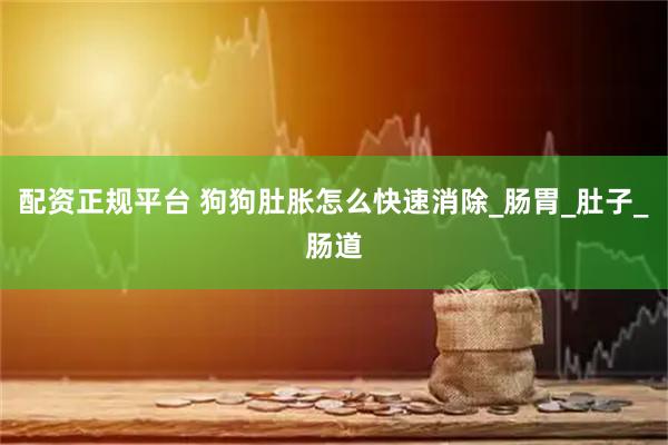 配资正规平台 狗狗肚胀怎么快速消除_肠胃_肚子_肠道