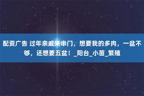 配资广告 过年亲戚来串门，想要我的多肉，一盆不够，还想要五盆！_阳台_小苗_繁殖