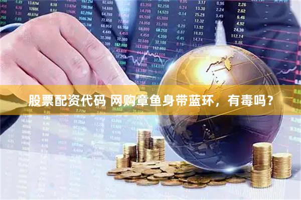 股票配资代码 网购章鱼身带蓝环，有毒吗？